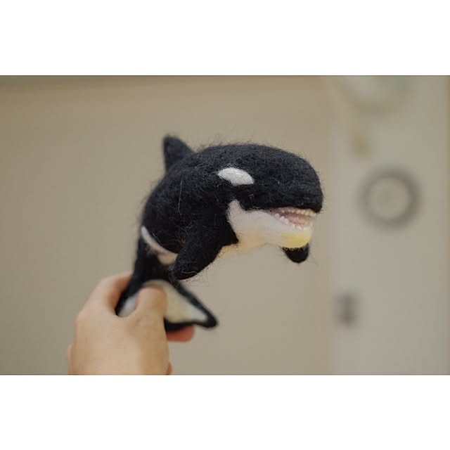 taka55さんの実例写真