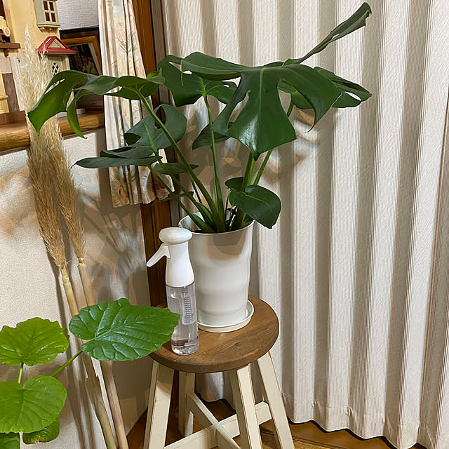 chIoeさんの実例写真