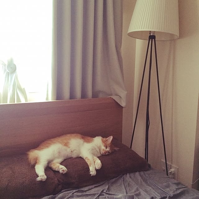 Reikoさんの実例写真