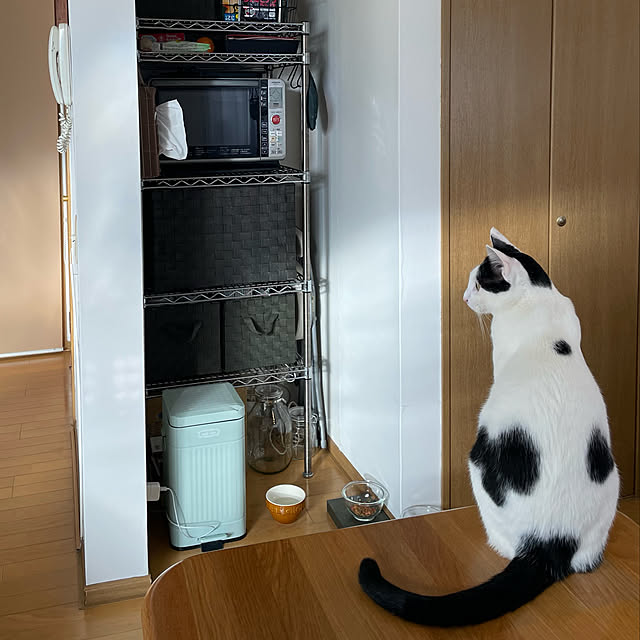 nobikoさんの実例写真