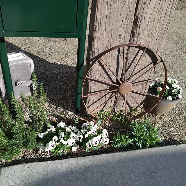 tosuさんの実例写真