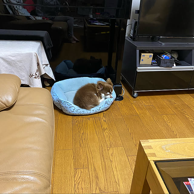 chIoeさんの実例写真