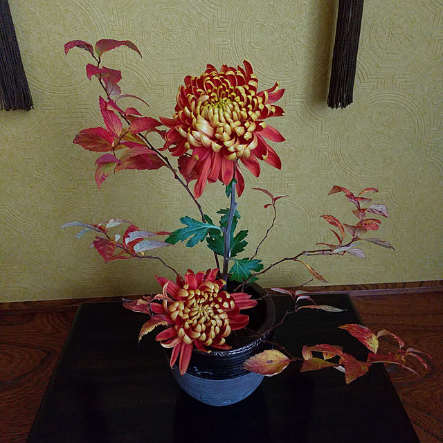 longneiさんの実例写真