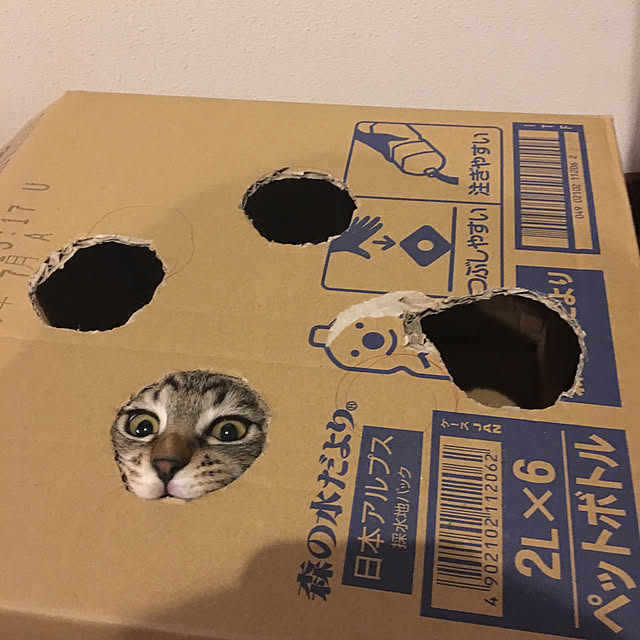 shigimiさんの実例写真