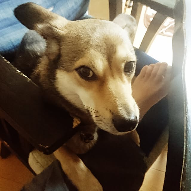 andさんの実例写真