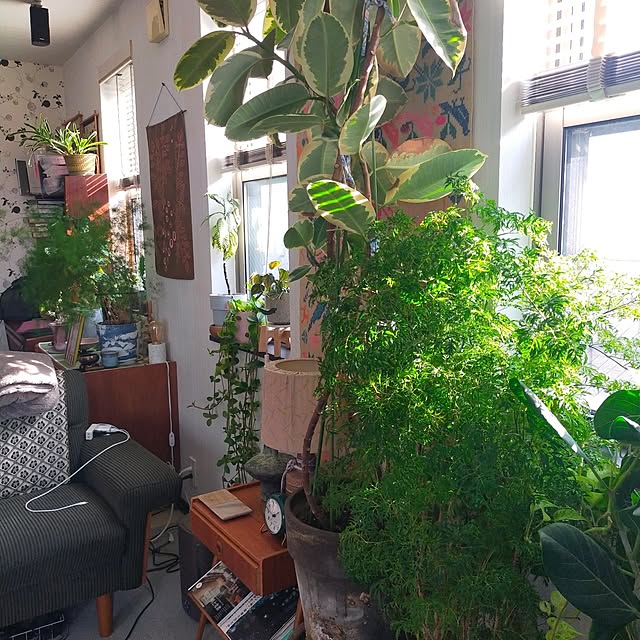 medaarataさんの部屋