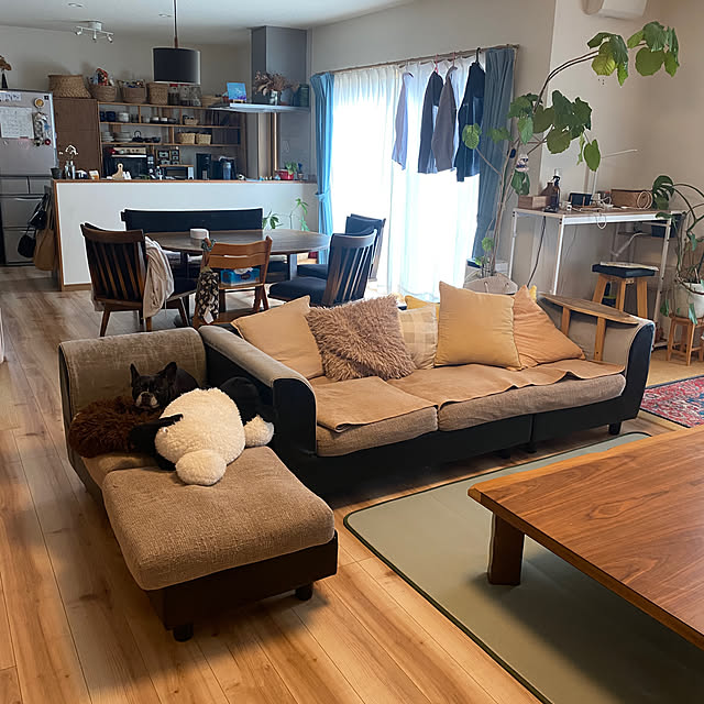 kotaroさんの部屋