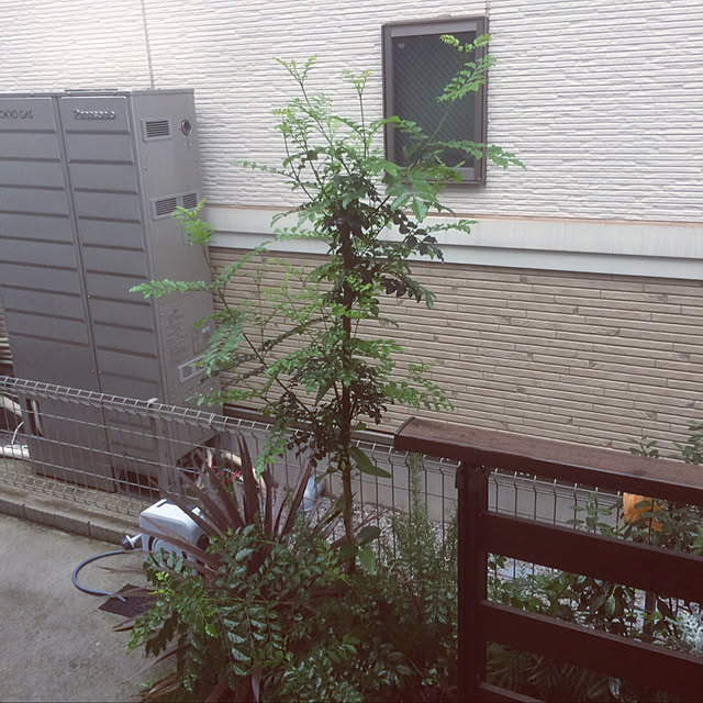 Kanaさんの実例写真