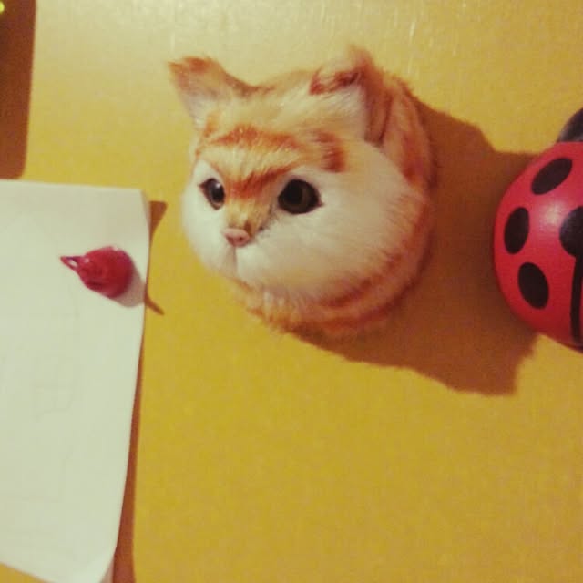 Maiさんの実例写真