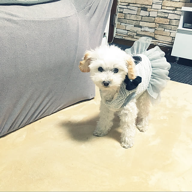flowerさんの実例写真