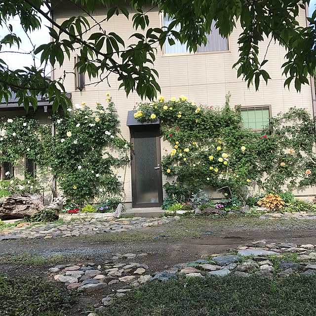 pepeさんの実例写真