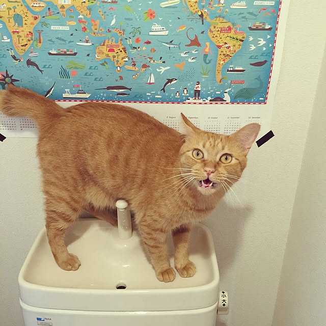 qo_op4649さんの実例写真