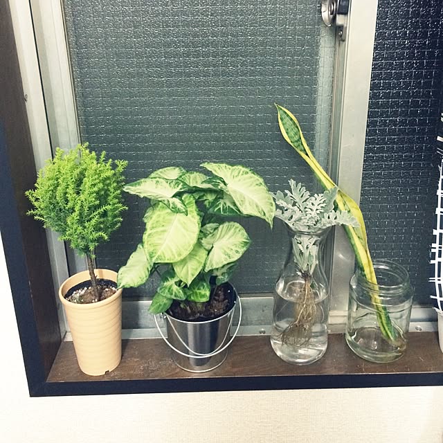erikaさんの実例写真