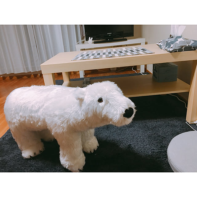 ijsbeerさんの実例写真