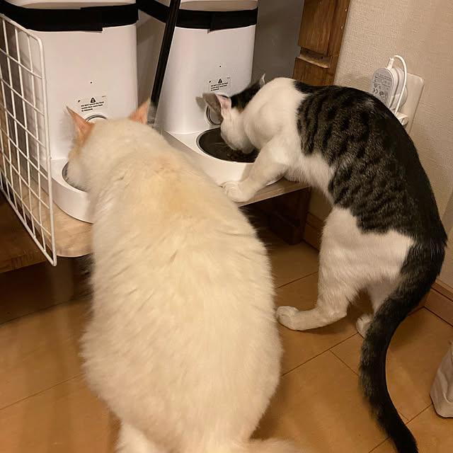 shuko22さんの実例写真