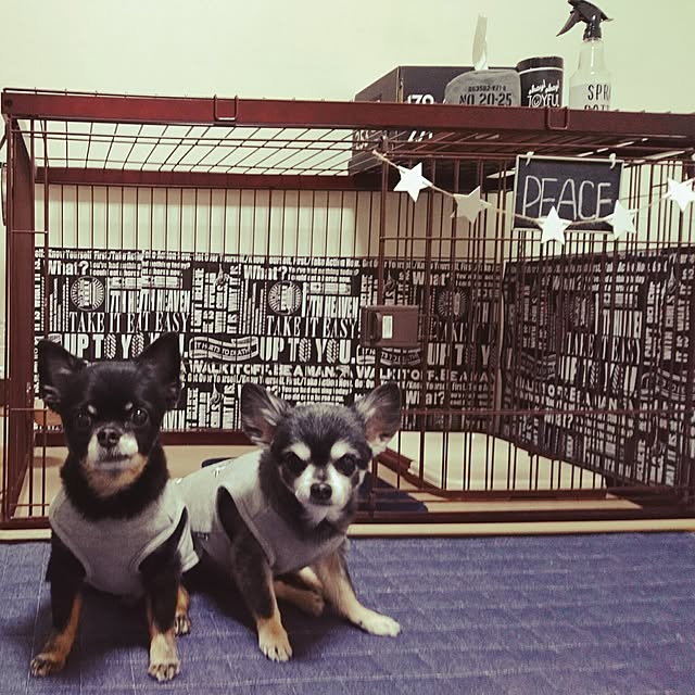 lovepeaceさんの実例写真