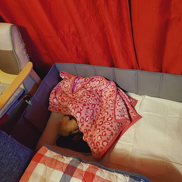 kumutanさんの部屋