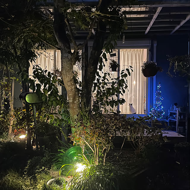 nobikoさんの部屋