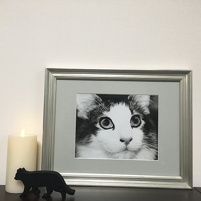 regulusさんの実例写真