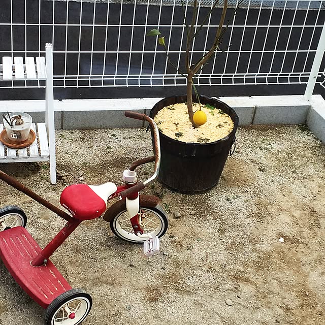 sachiさんの実例写真