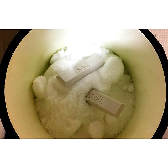Bi_27さんの実例写真