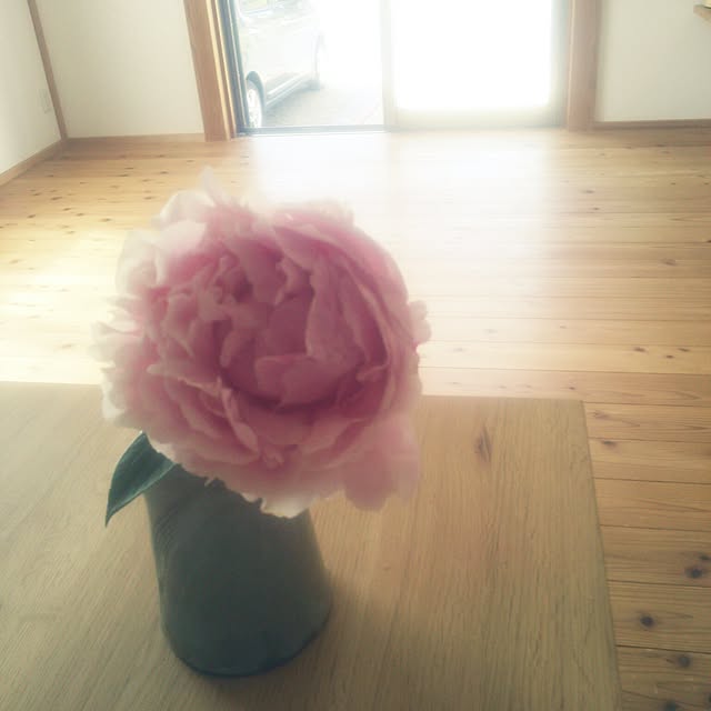 poemwalkさんの実例写真