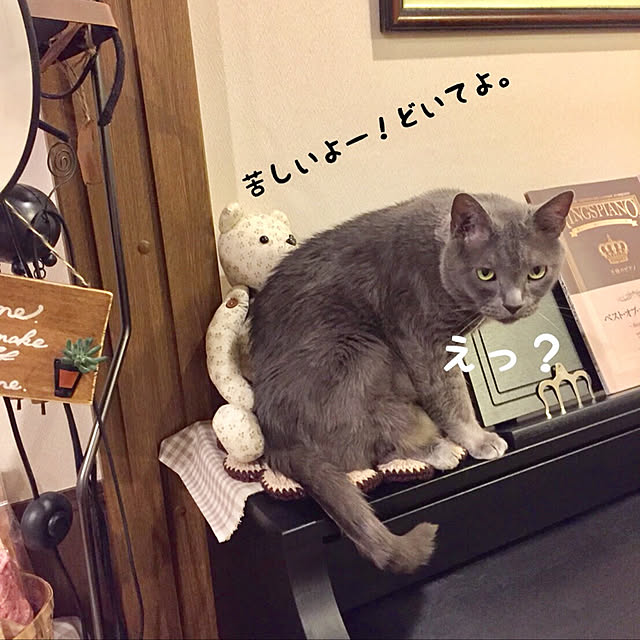 chikaさんの実例写真