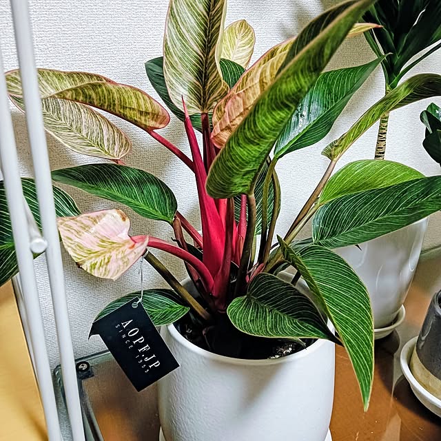 hanachanさんの実例写真