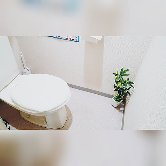 guricoさんの実例写真
