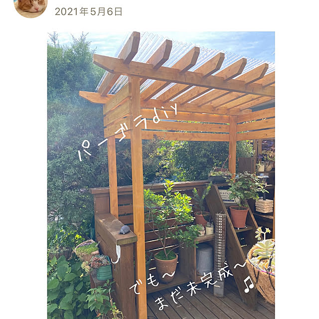 mintteaさんの部屋
