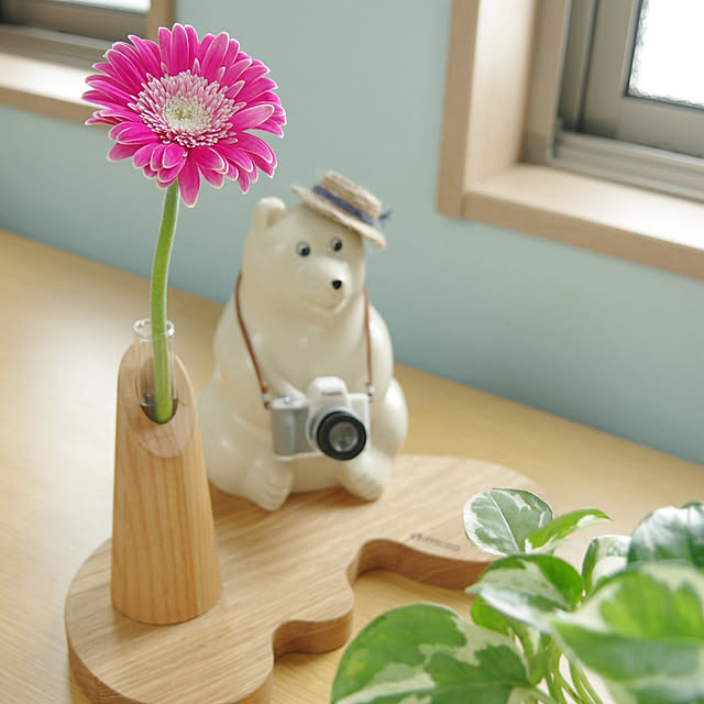Shooowkoさんの実例写真