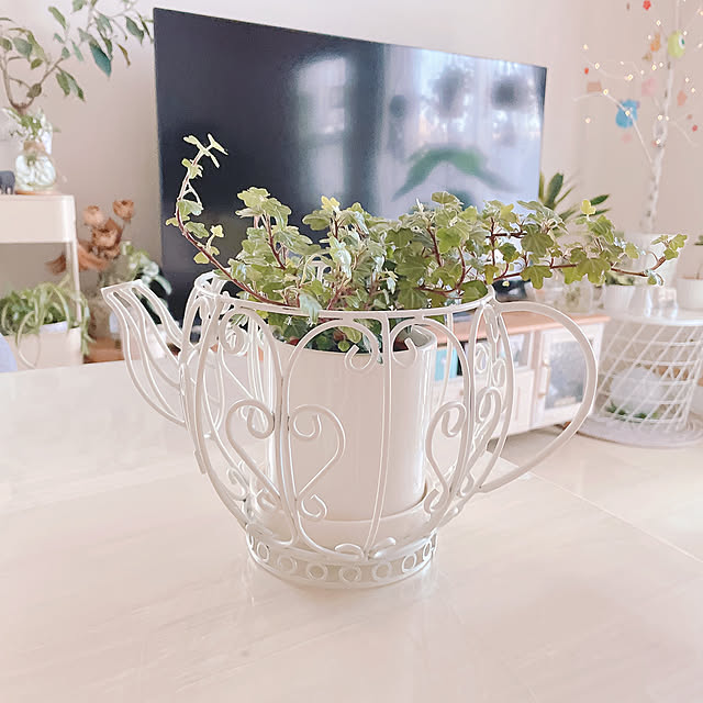 akiko-ovさんの実例写真