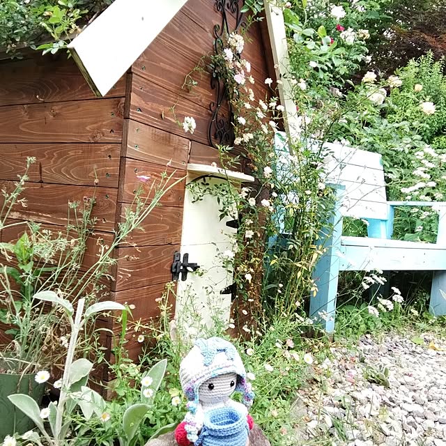 fujiyayuさんの部屋
