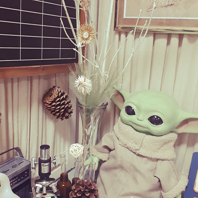 ANTENNAさんの実例写真