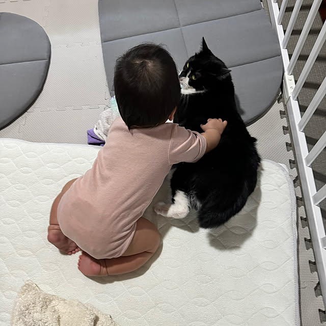 porinさんの実例写真
