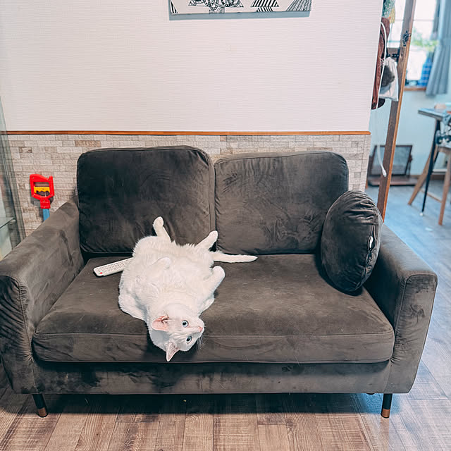 yuiiiさんの実例写真