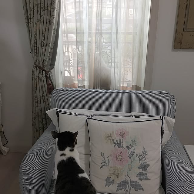 yuchiさんの実例写真