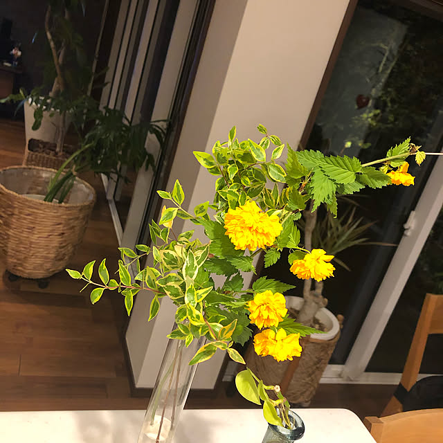 orangeさんの実例写真