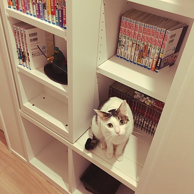 sunnyさんの実例写真