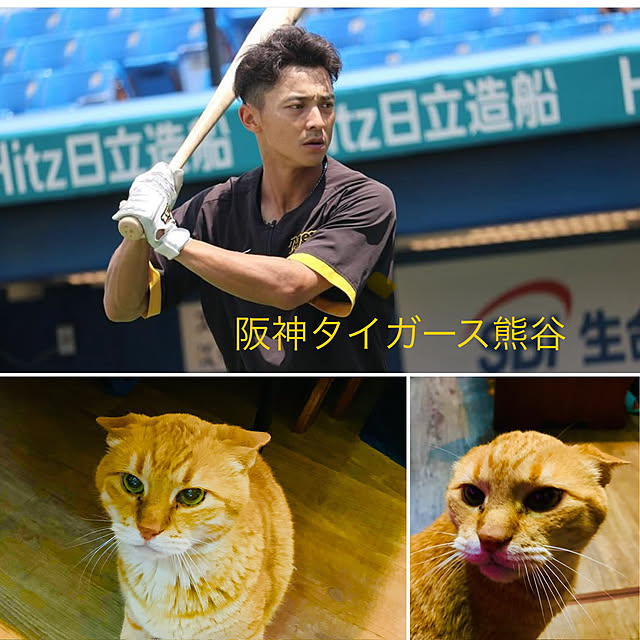 tututu0204さんの部屋