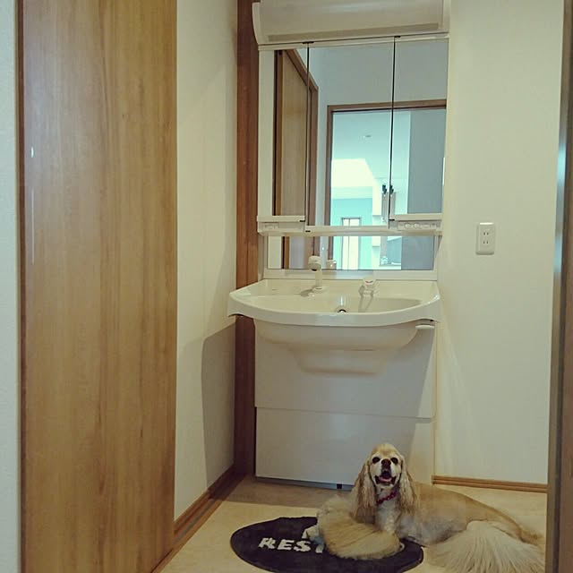 Shooowkoさんの実例写真