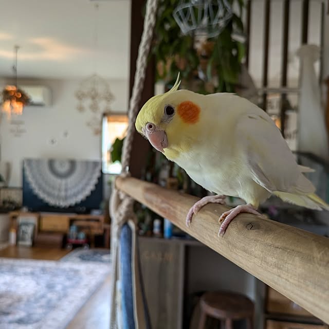 akiさんの部屋