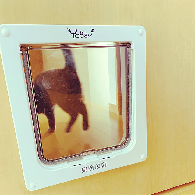 kaoさんの実例写真