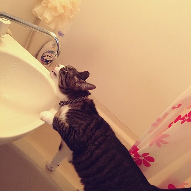 jdannabcさんの実例写真