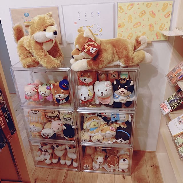 sakuraさんの実例写真