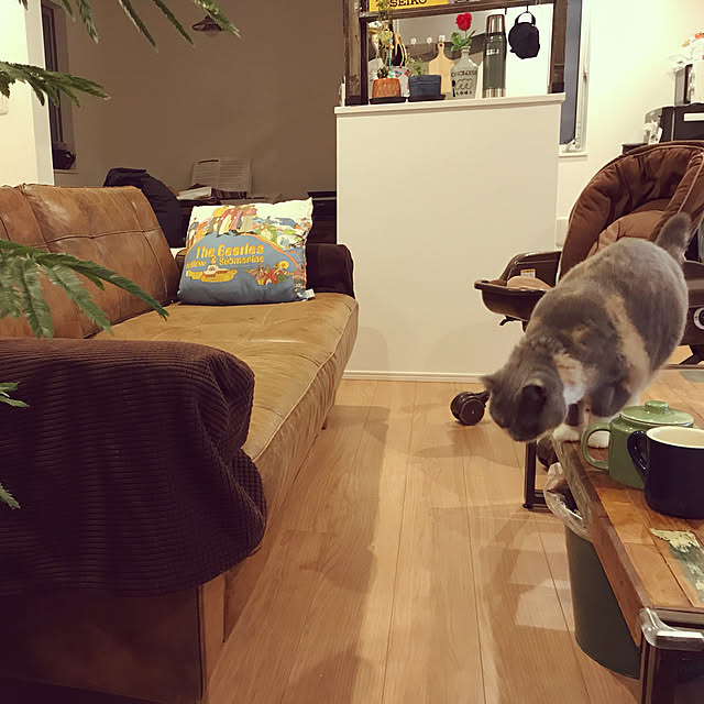 nonoさんの実例写真