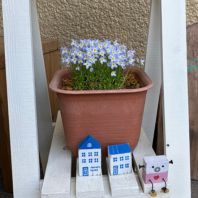 maron915さんの部屋