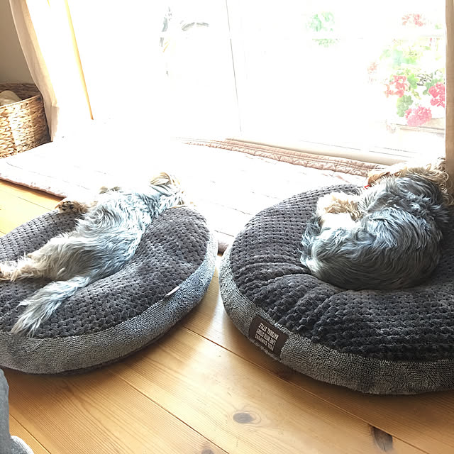 misacoさんの実例写真