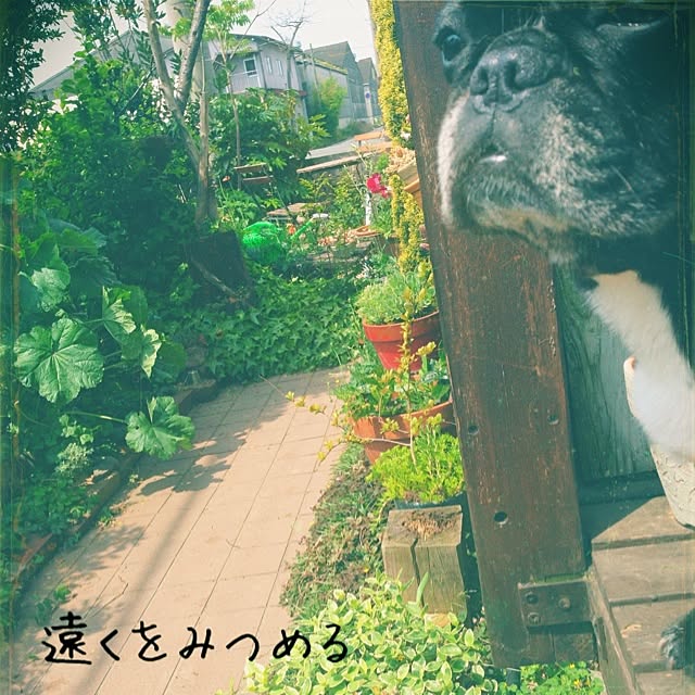 38coreさんの実例写真