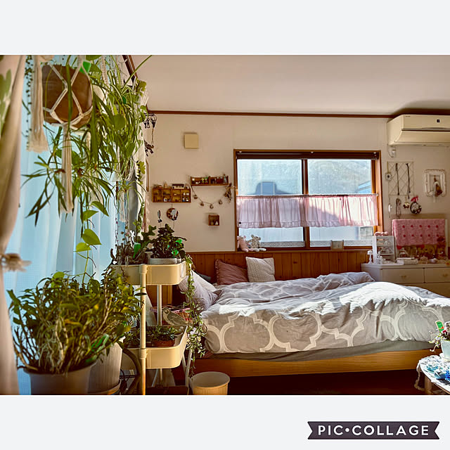 CoCo0617さんの部屋